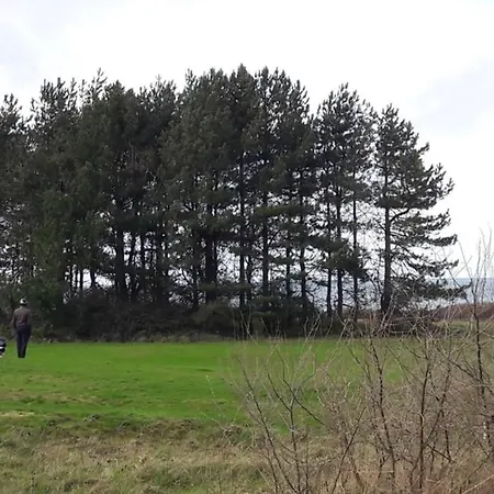 Cosy Neuf Près De La Mer,balcon Et Parking Gratuit